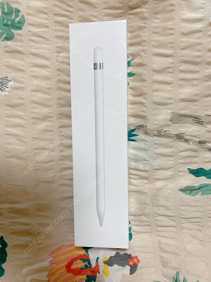 ﻿ Apple 정품 애플펜슬 1세대 (새제품) ﻿