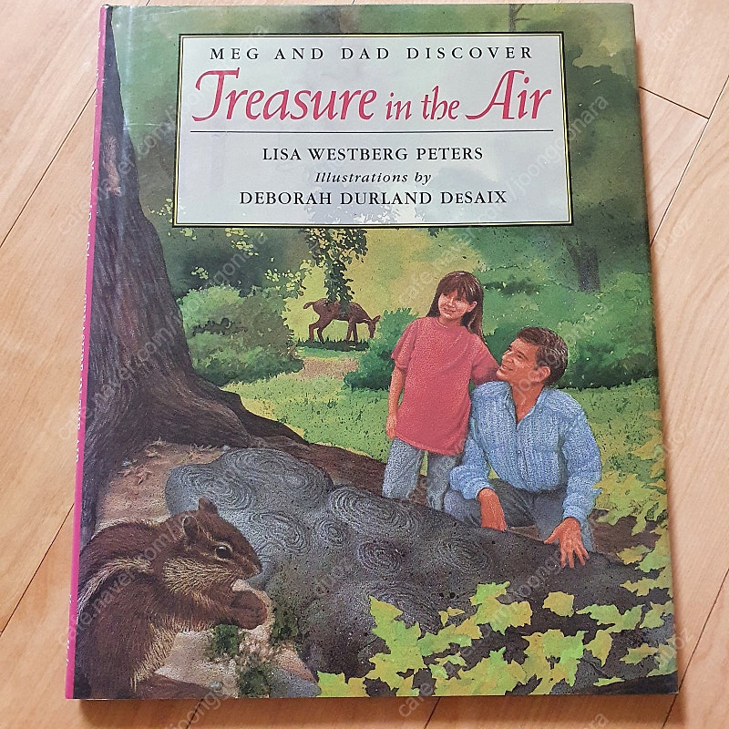 영어원서 Treasure in the Air