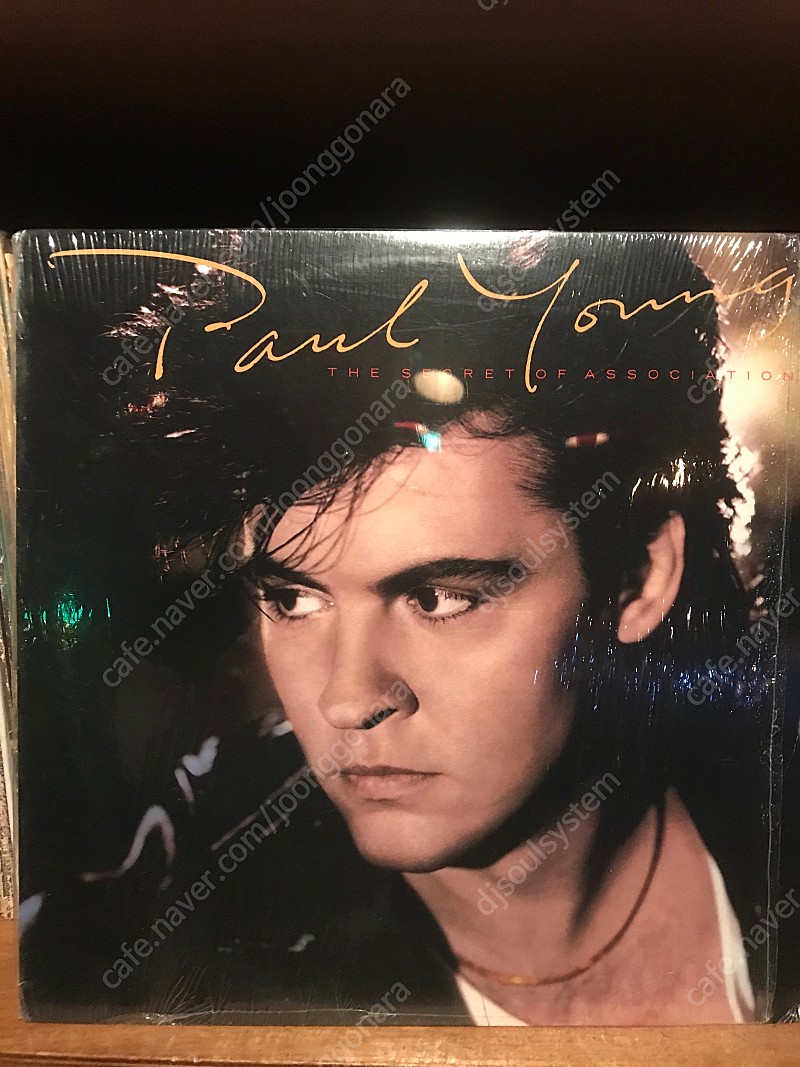 Paul Young / Secret of Association 'Everytime You Go Away'수록 Lp 수입