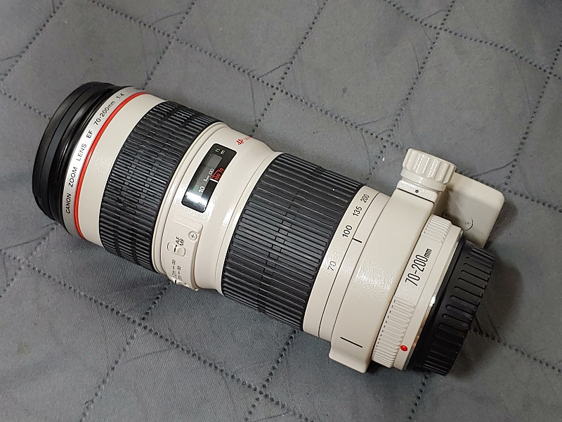 캐논 EF 70-200mm 애기백통 망원렌즈