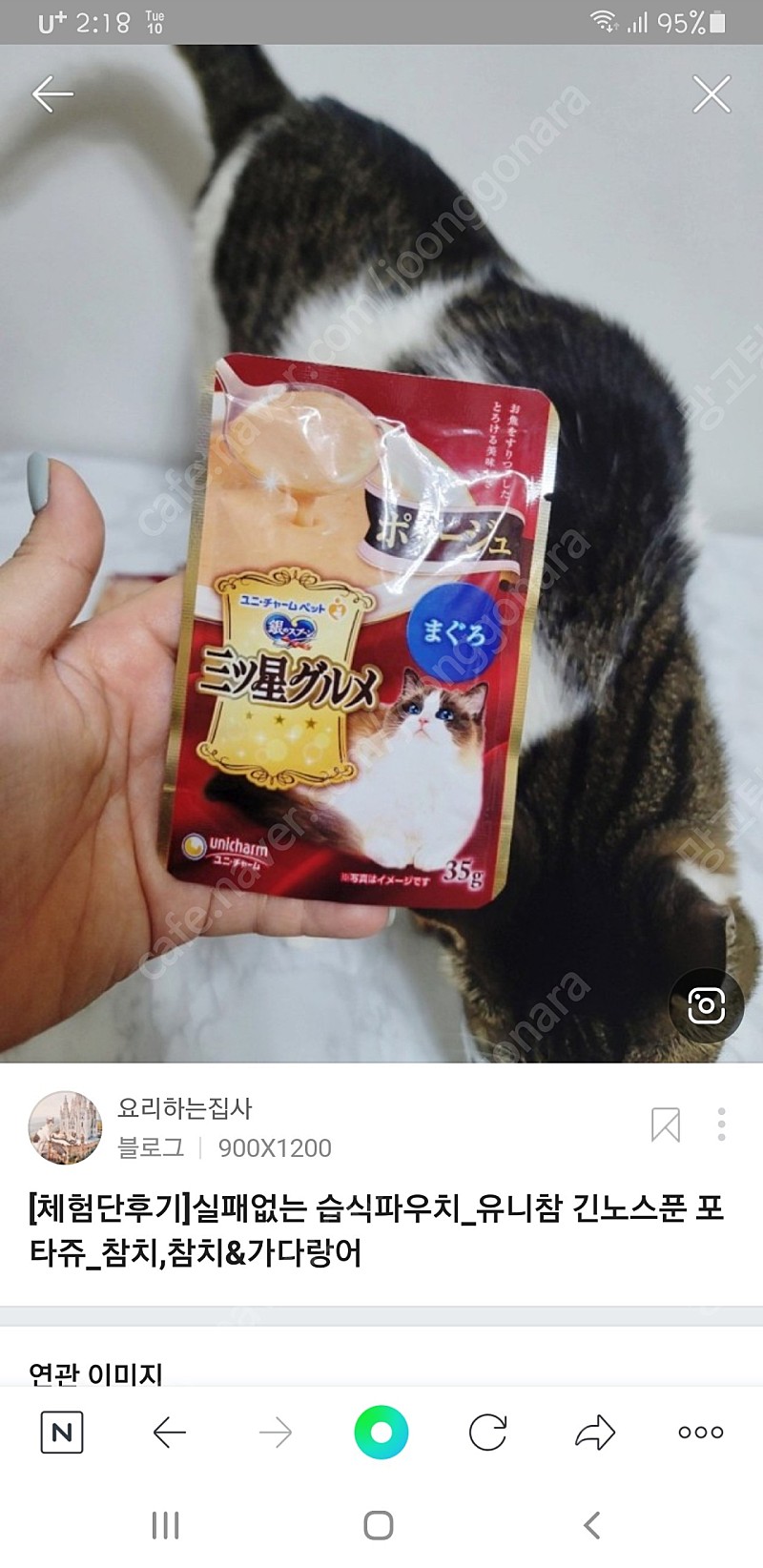 고양이 간식 유니참 긴노스푼미쓰보시 판매요