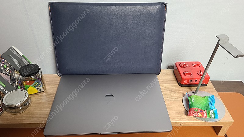 맥북프로(Macbook Pro) 16인치 2019형 CTO(16GB, 라데온 5500M)