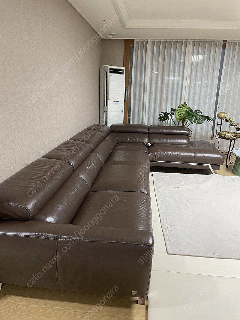 체리쉬 소파 (애닐린 통가죽 천연 소파, 루이디체 코너 확장형 소파)--2