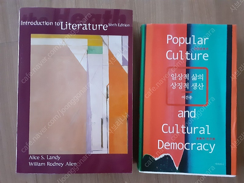 영어영문학 원서 introduction to literature 6th edition Alice S. Landy/여건종 일상적 삶의 상징적 생산/