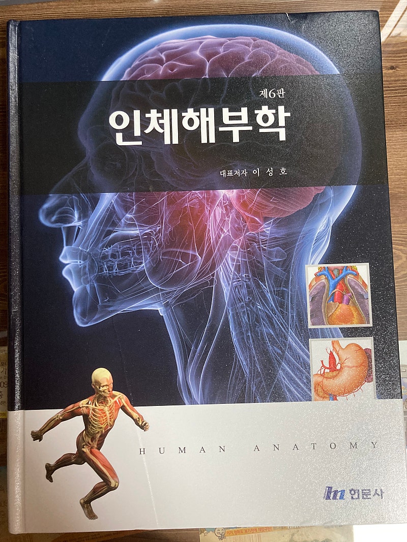 인체해부학/간호과정과 비판적사고/간호윤리학과 전문직