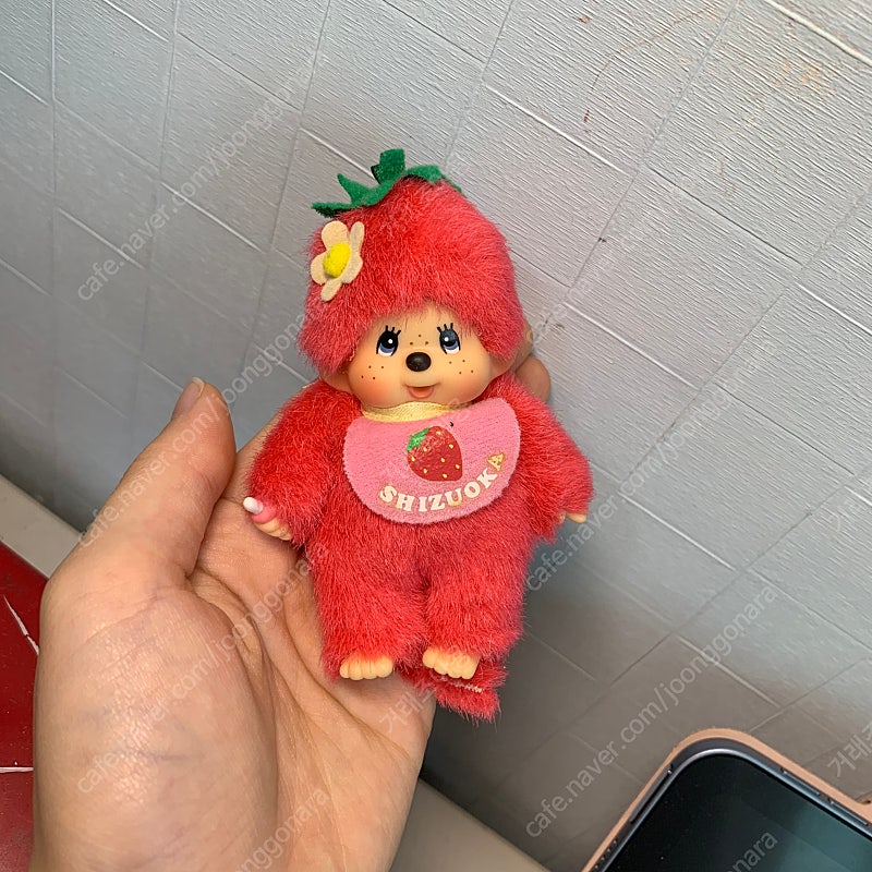 시즈오카 딸기 지역한정 몬치치