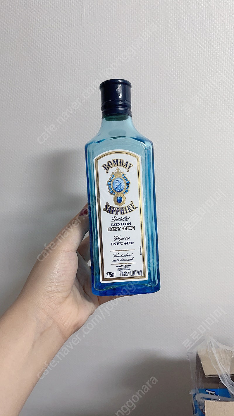 봄베이 사파 공병