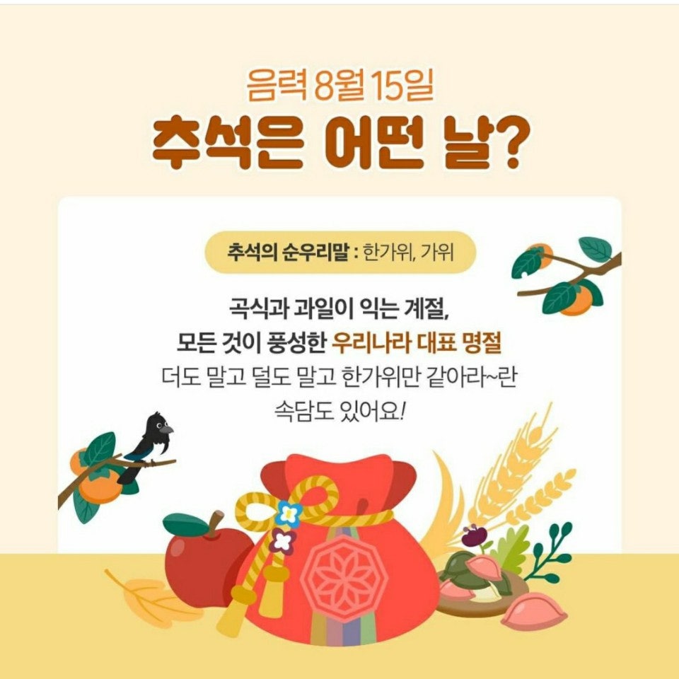 한솔정보 이미지