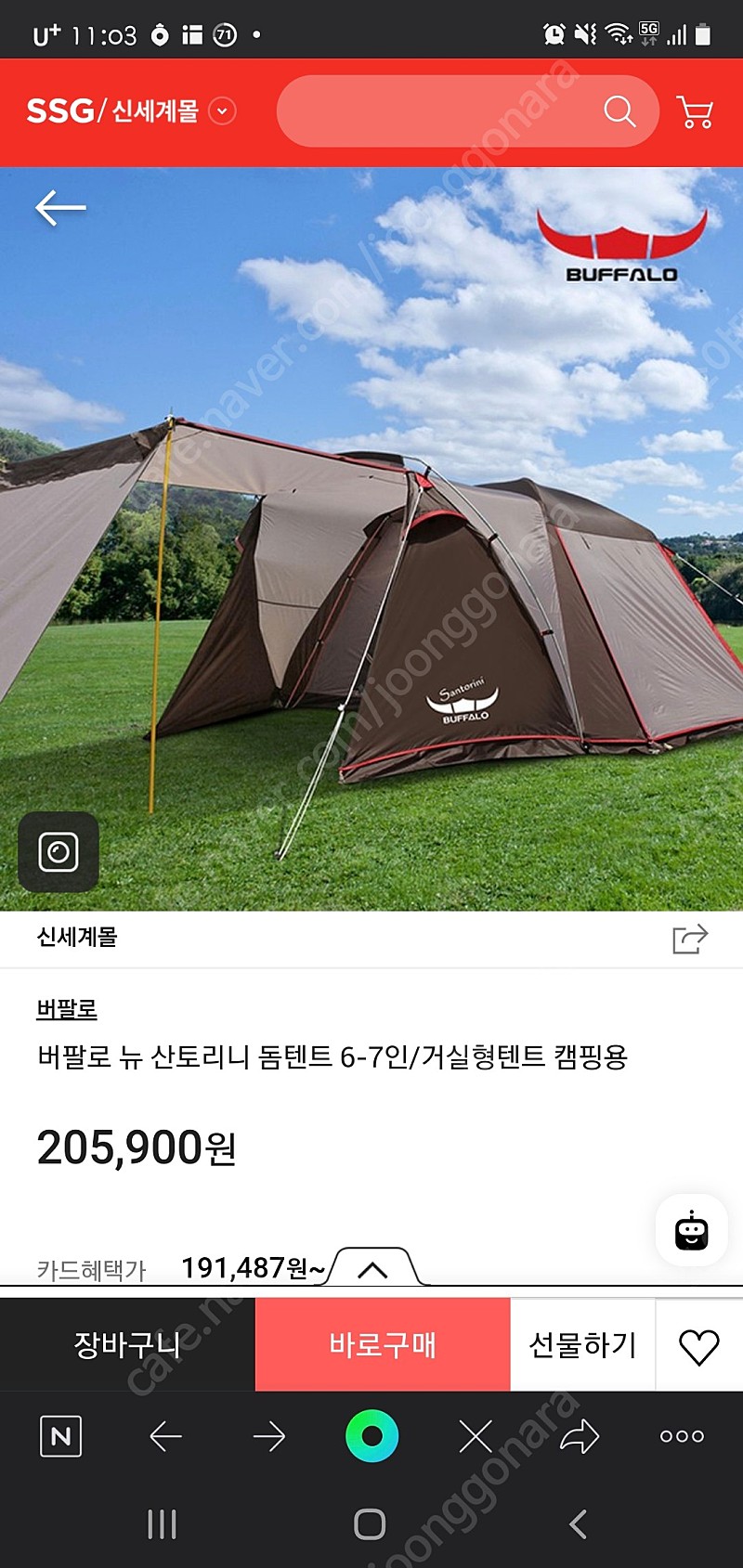 버팔로 뉴 산트리니 돔 텐트 팔아요