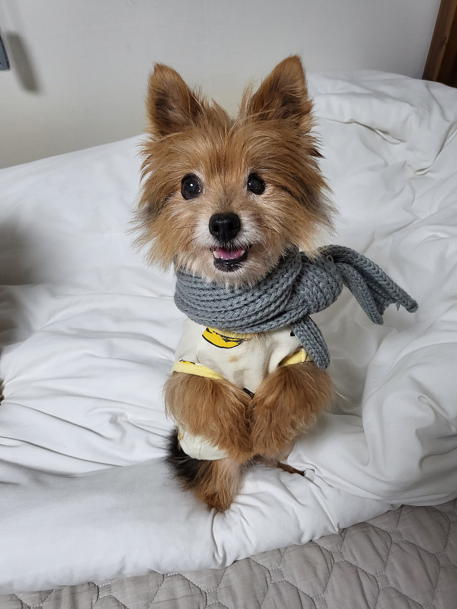 주라울 이미지