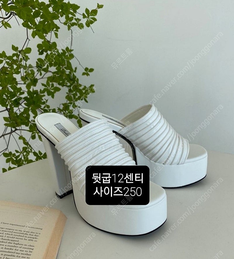 웨딩슈즈 (새상품)245,250사이즈 판매합니다--1