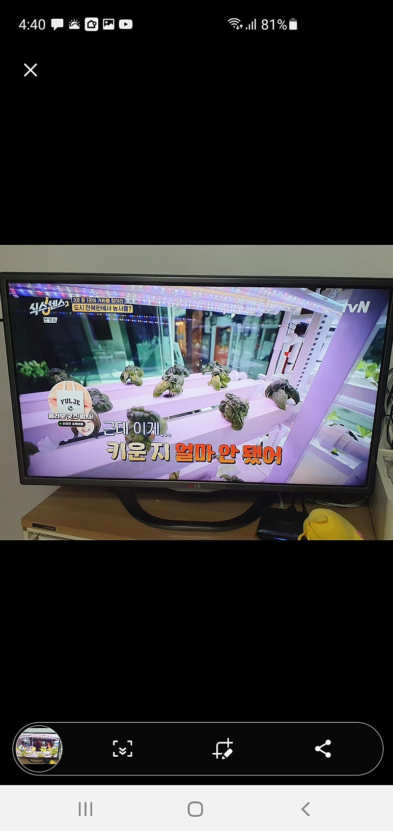 lg 32인치 tv팝니자.