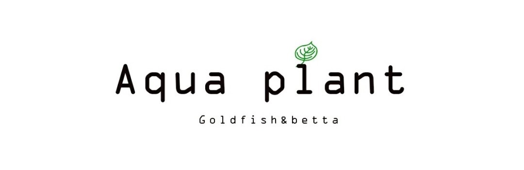 Aqua Palnt( ÷Ʈ)GOLDFISH LOVE