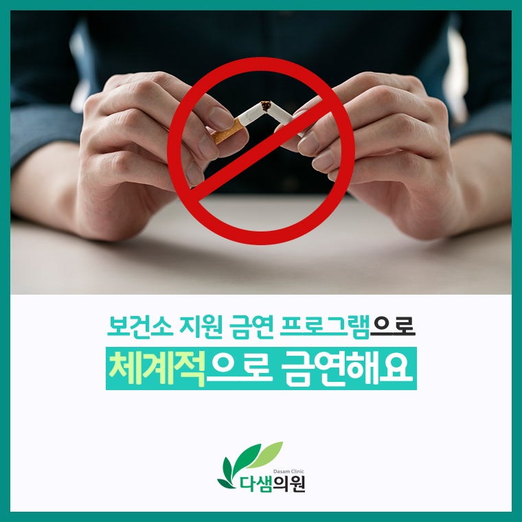 다샘 이미지