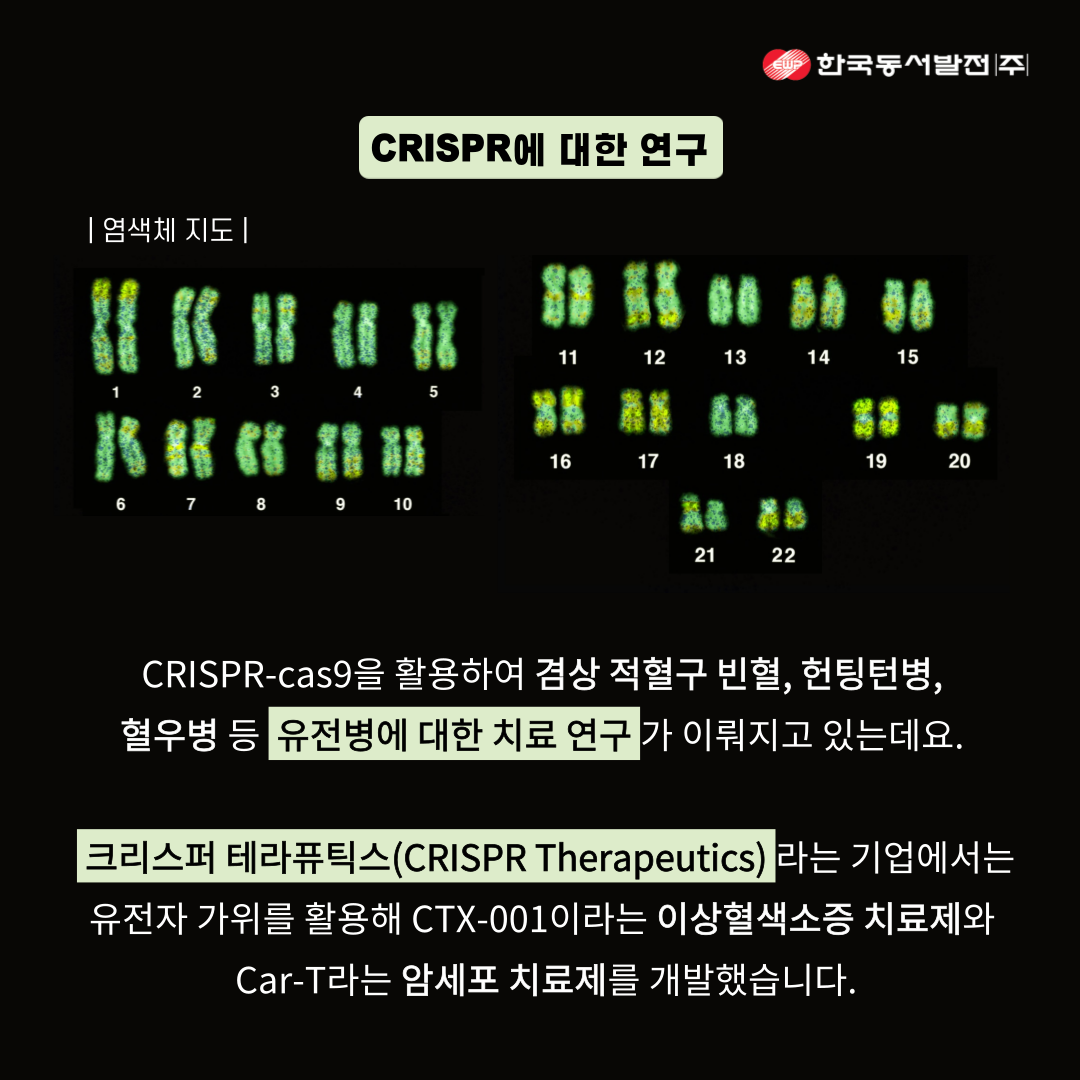2020 노벨 화학상의 주인공! 크리스퍼(CRISPR) 유전자 가위 : 네이버 블로그