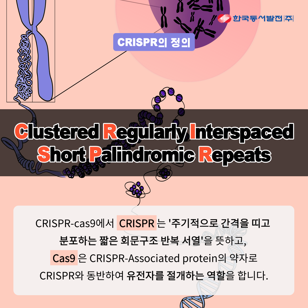 2020 노벨 화학상의 주인공! 크리스퍼(CRISPR) 유전자 가위 : 네이버 블로그