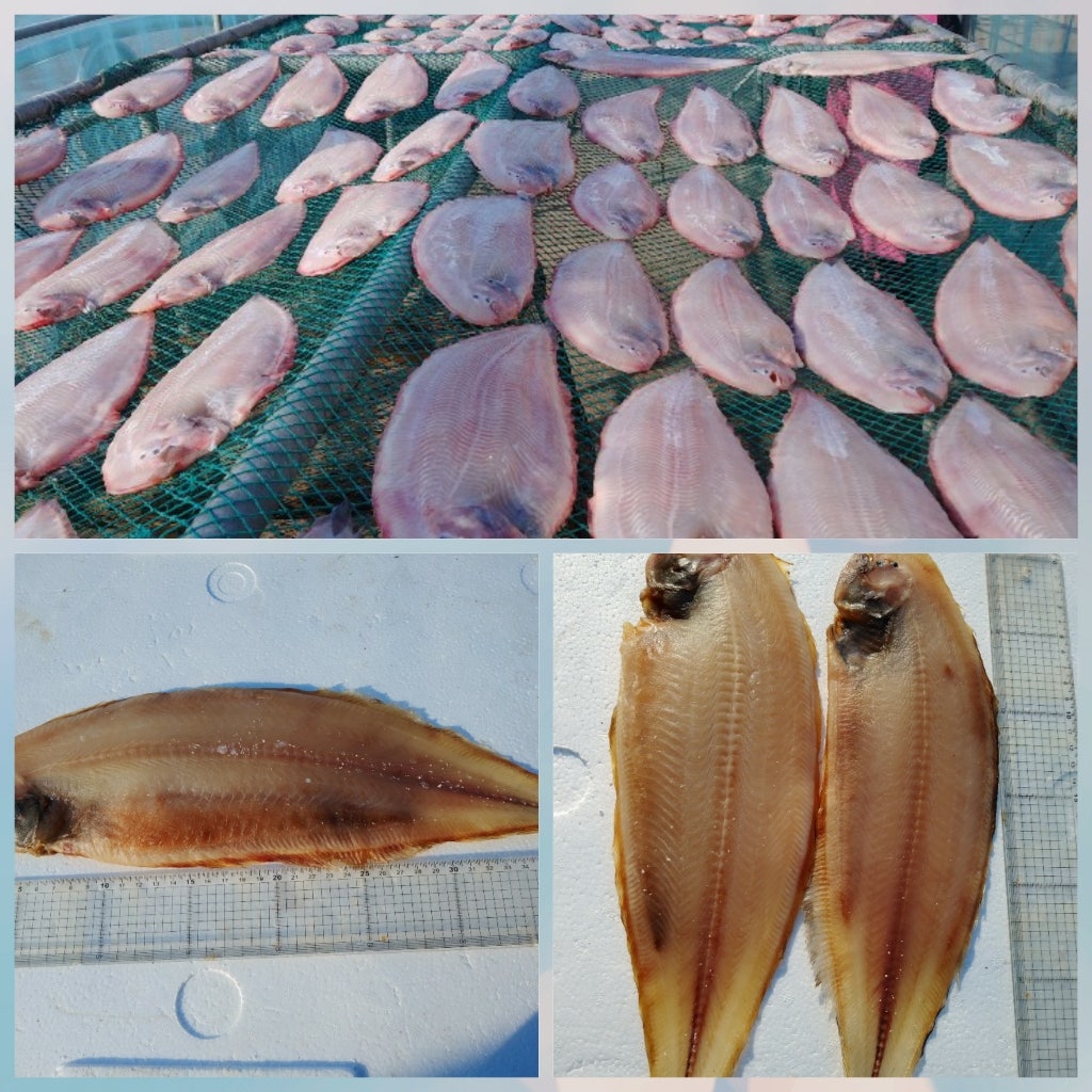 박선장네 이미지