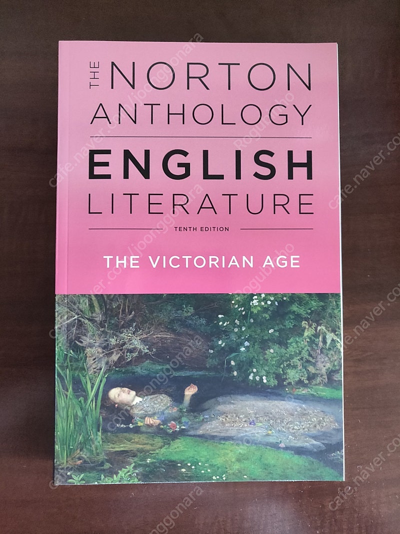 the norton anthology of English Literature 10th edition