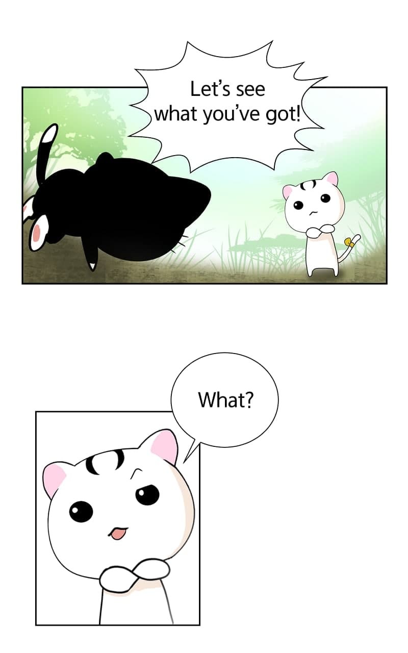 나루코주 이미지