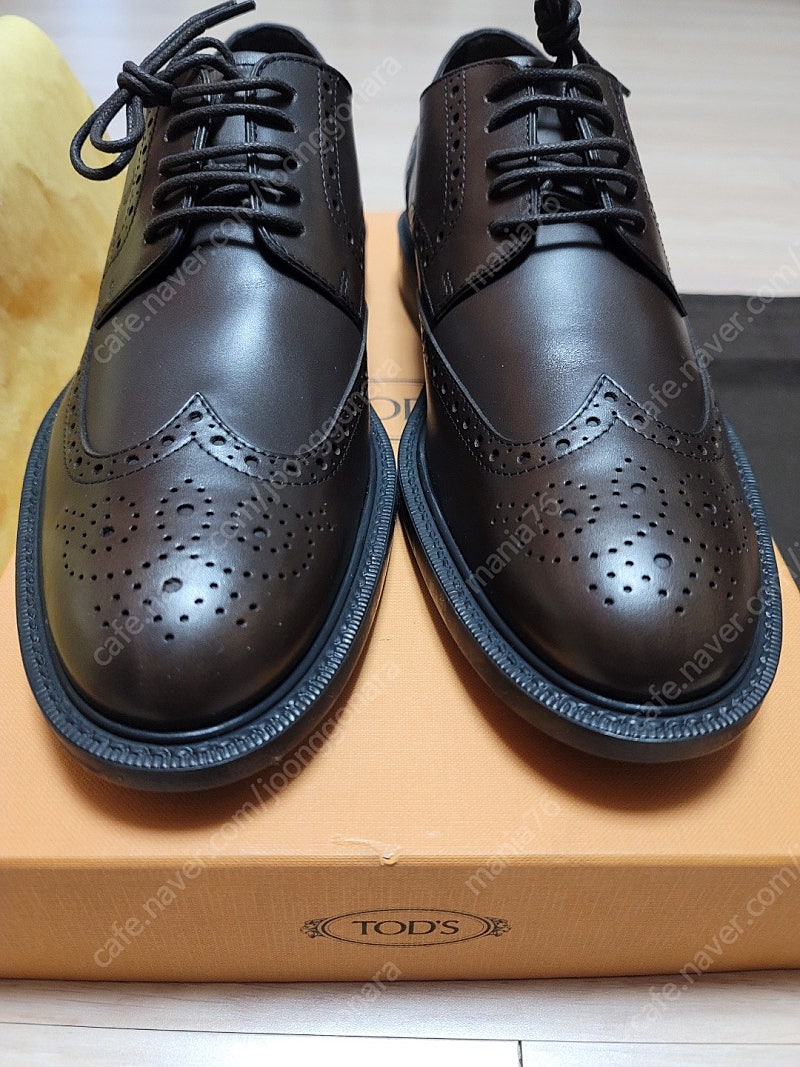 Tod's Lace Up Derby Leather Shoes- Brown / 8 US size