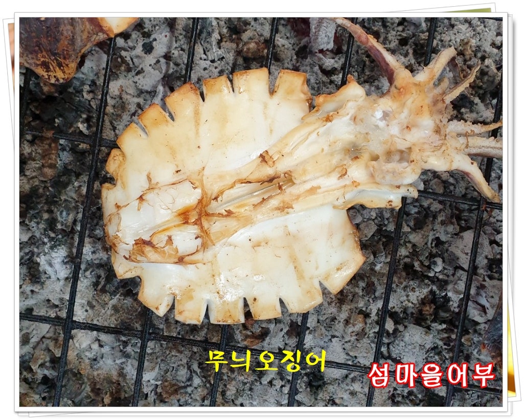 섬마을어부 이미지