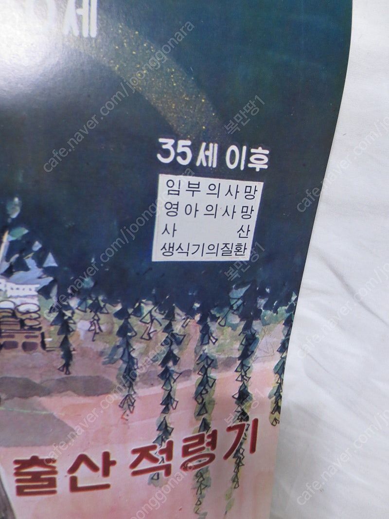 가족계획 보건사회부/대한가족계획협회/ 홍보책자 /60년...--8