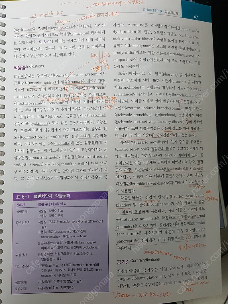 아동간호학 상, 여성건강간호학1,2, 정신간호총론, 간...--5