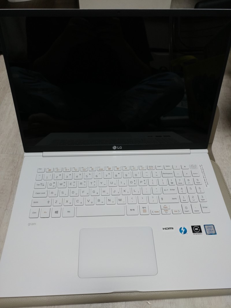 2019 LG 그램 17인치 램 24G업글 (17ZD990-VX50K)