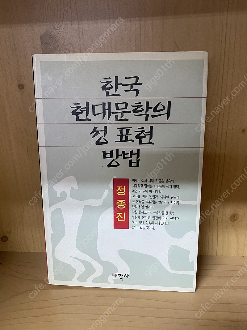 한국 현대문학의 성표현 방법, 1999년 발행책/ 택배비포함 6000원