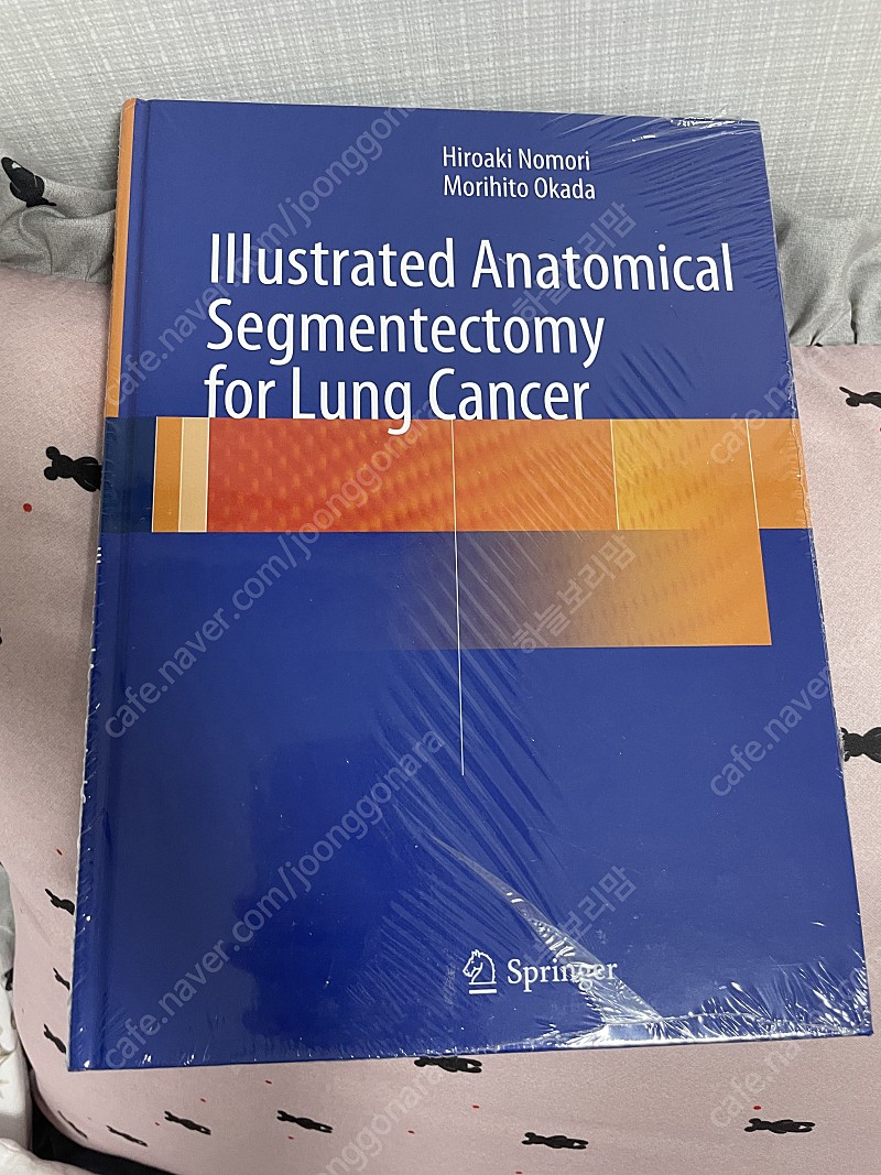 흉부외과 의학서적 Illustrated Anatomical Segmentectomy for Lung Cancer