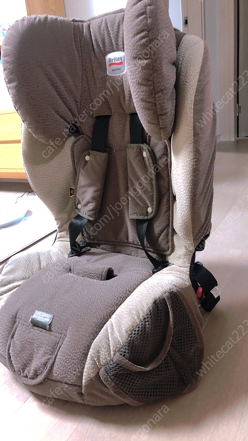 브라이텍스 주니어 카시트--1