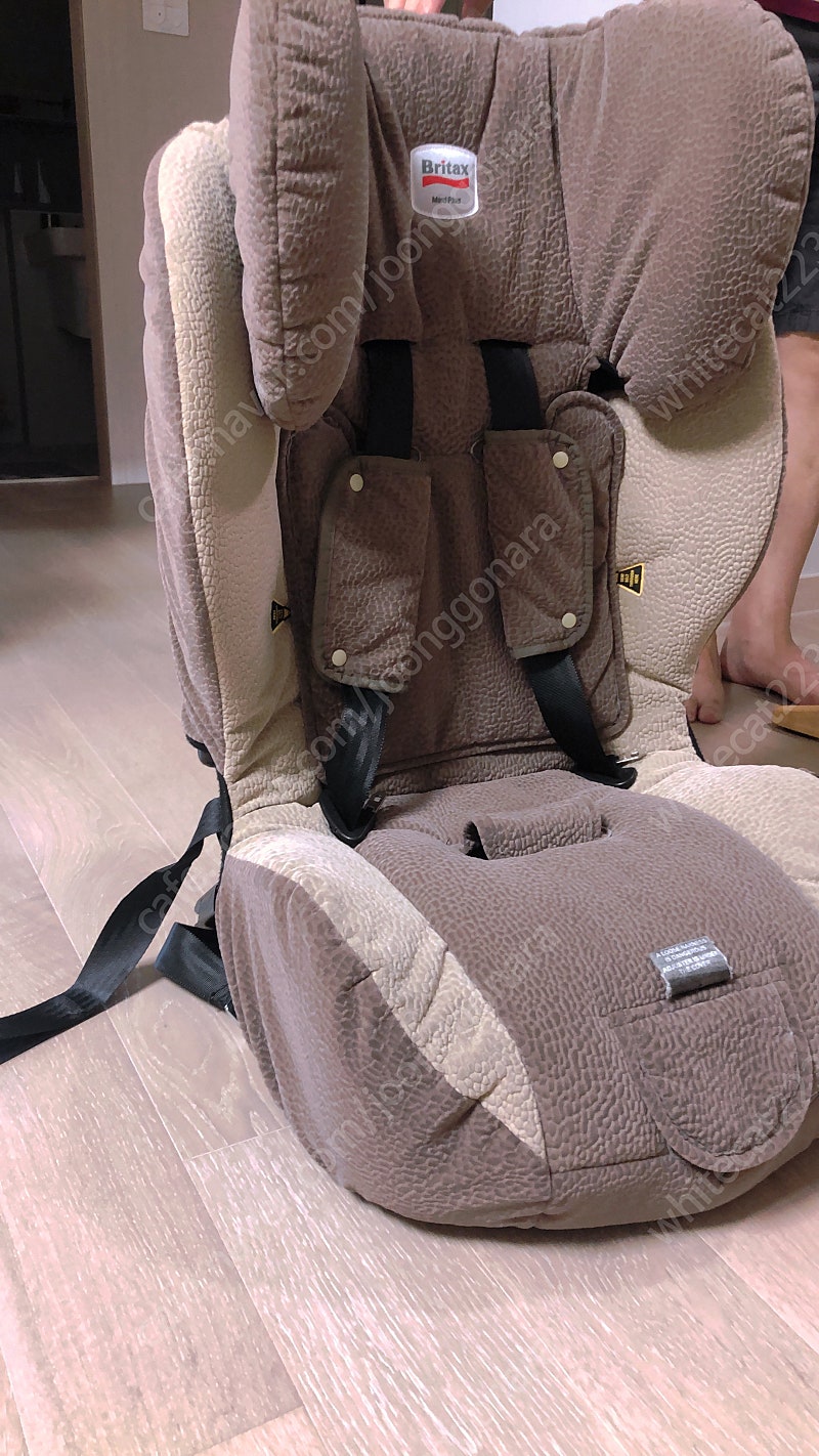 브라이텍스 주니어 카시트--2