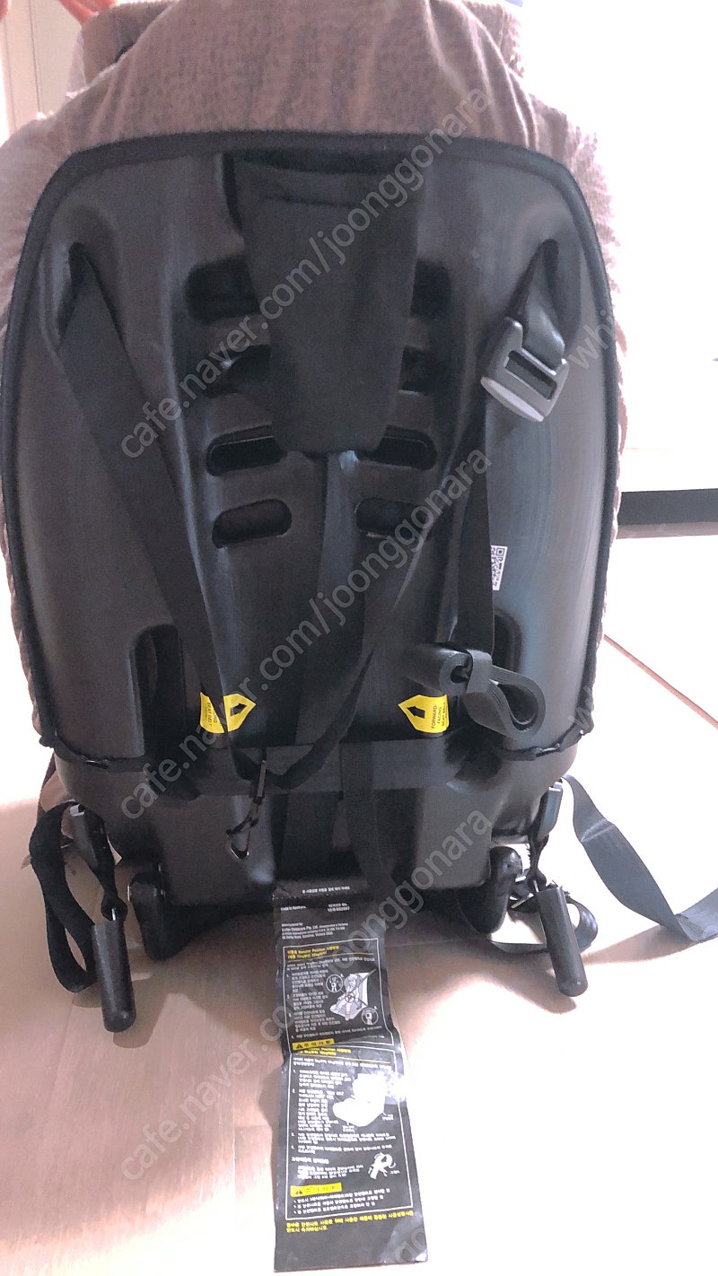 브라이텍스 주니어 카시트--3