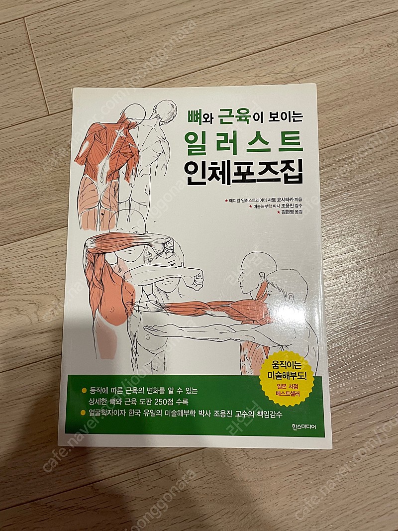 뼈와 근육이 보이는 일러스트 인체포즈집 판매합니다.