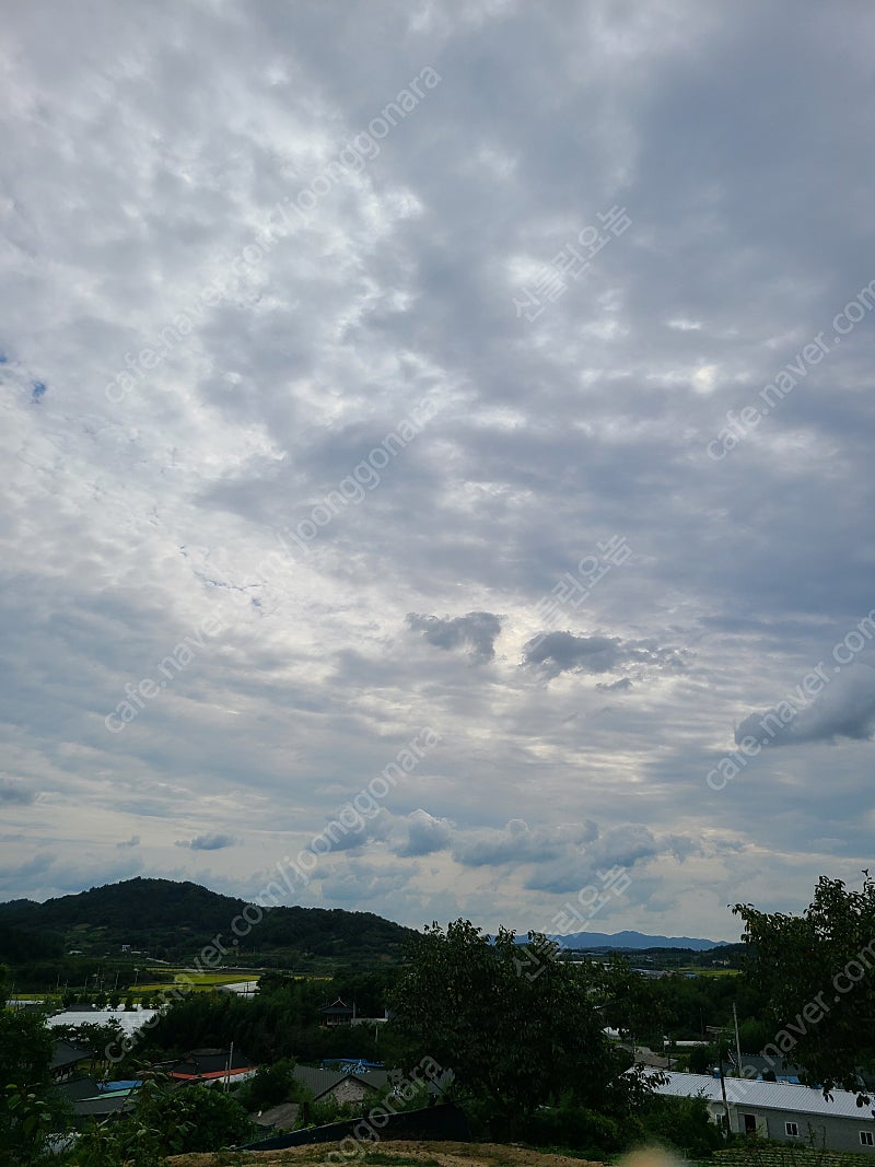 (전남광주)s10~+a급직거래로구해봐요