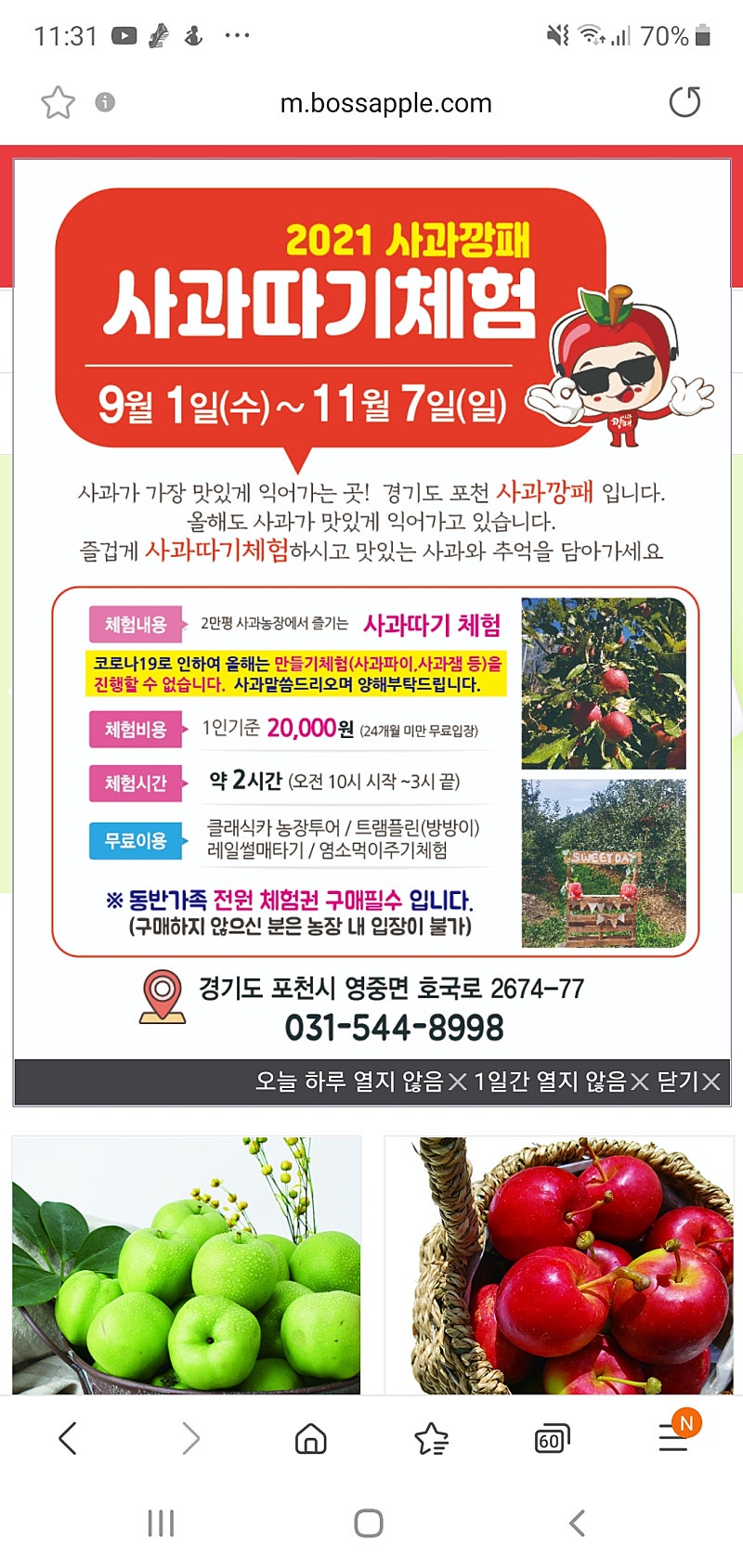 포천 사과 깡패 체험권