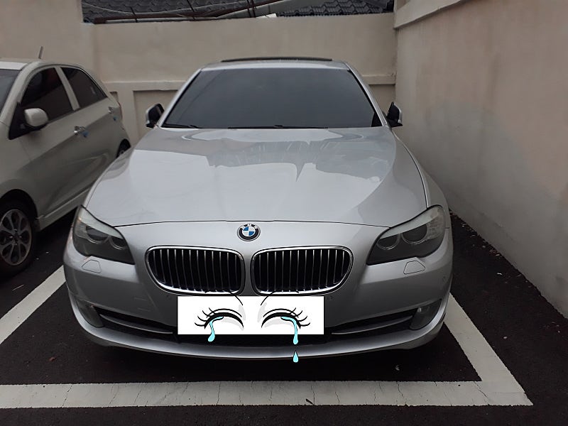 bmw f10 528i