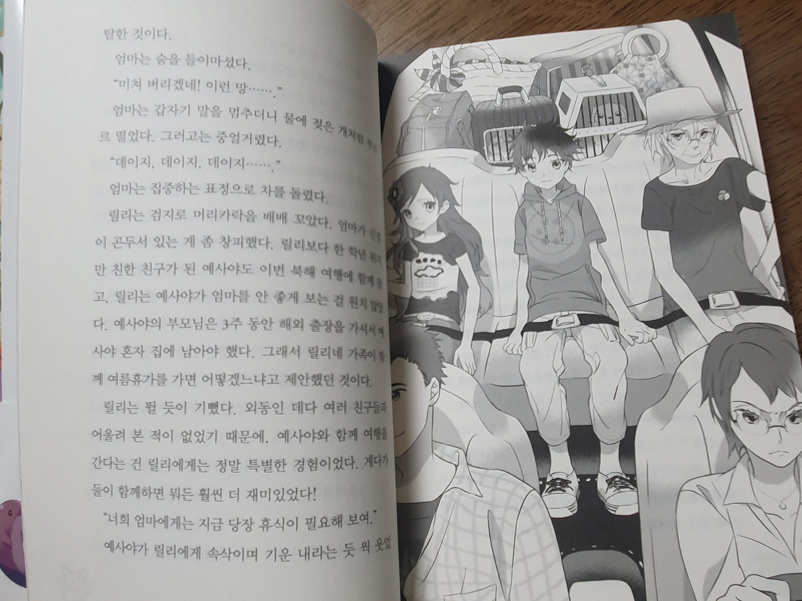 릴리피츠 이미지