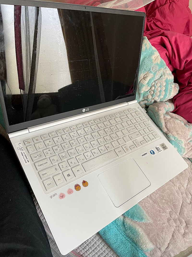 LG 노트북 그램15 15ZD995-VX50K