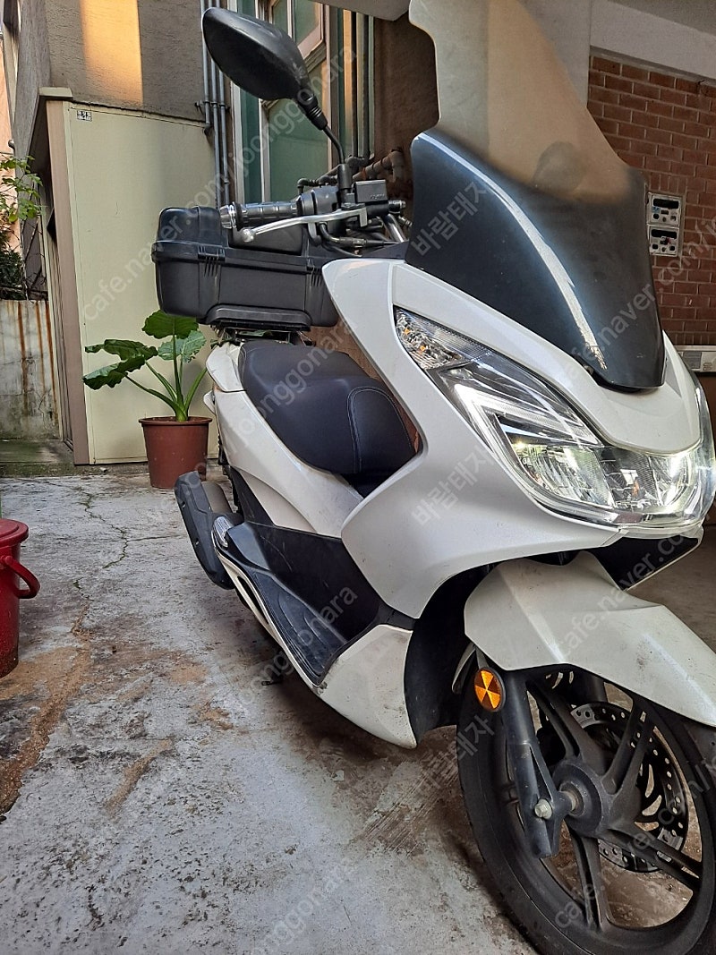 Pcx125 18년식 판매합니다