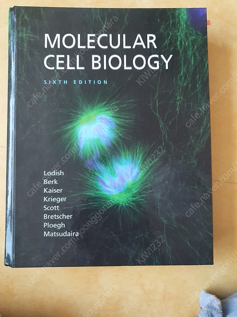 Molecular cell biology 6판 하드커버