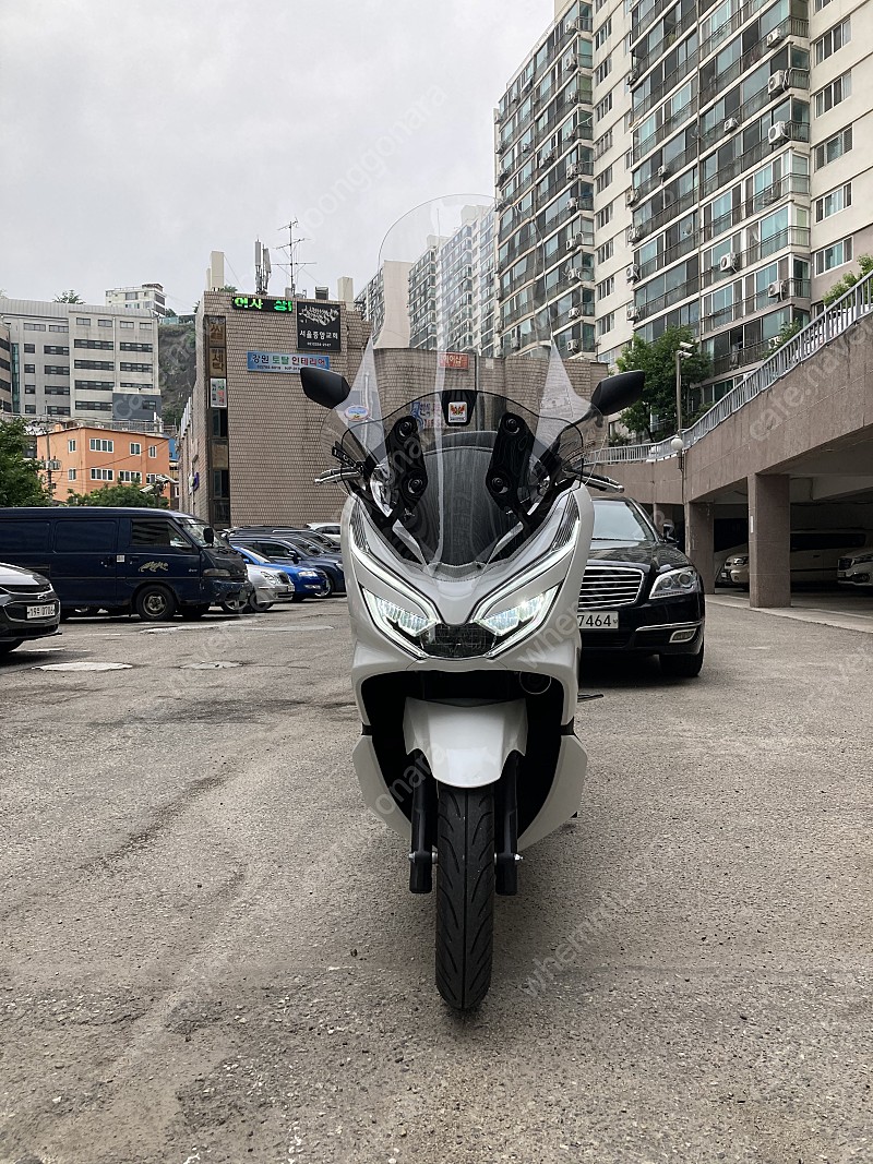 (서울)6800km 19년 pcx125 흰색 (배달차아님)