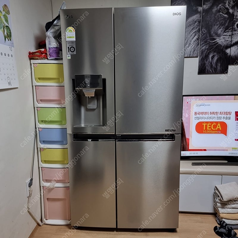 LG 디오스 양문형 냉장고 메탈 얼음정수기 J618SS34