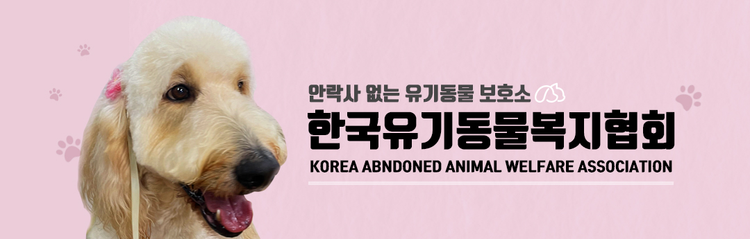  [ Korea Abandoned Animal Welfare Association ]