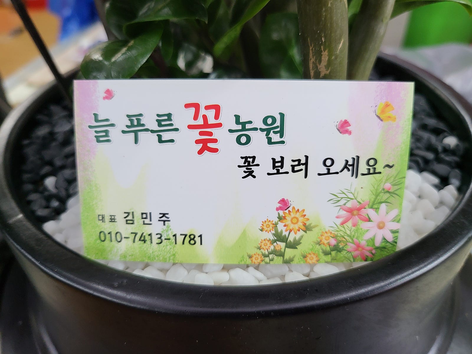 늘푸른농원 이미지
