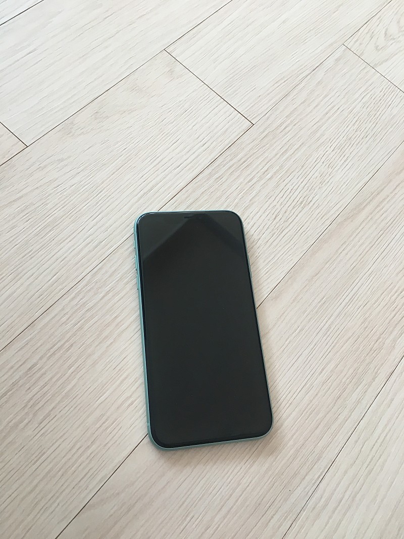 애플케어플러스 가입 되어 있는 아이폰11