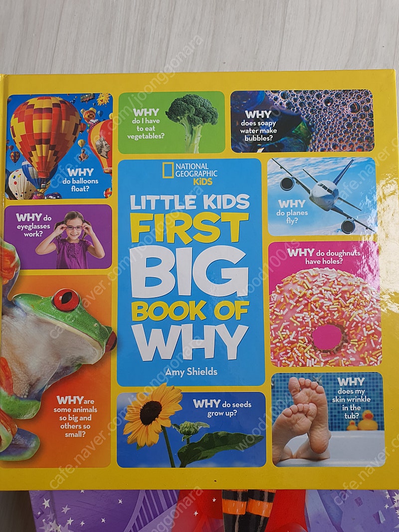 First big book of why