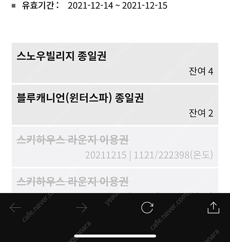 평창 휘닉스파크 블루캐니언 & 스노우빌리지 입장권