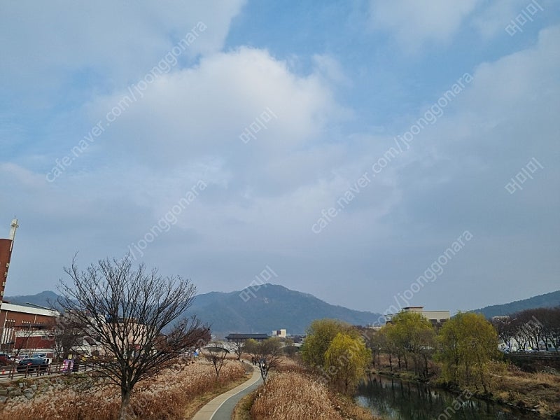 맘시터 이용권 구해요.