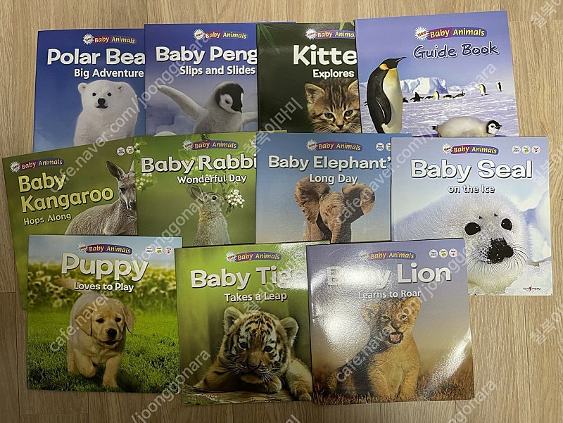 baby animals book (유아영어책10권)